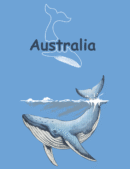Humpback Whale Womens Tees